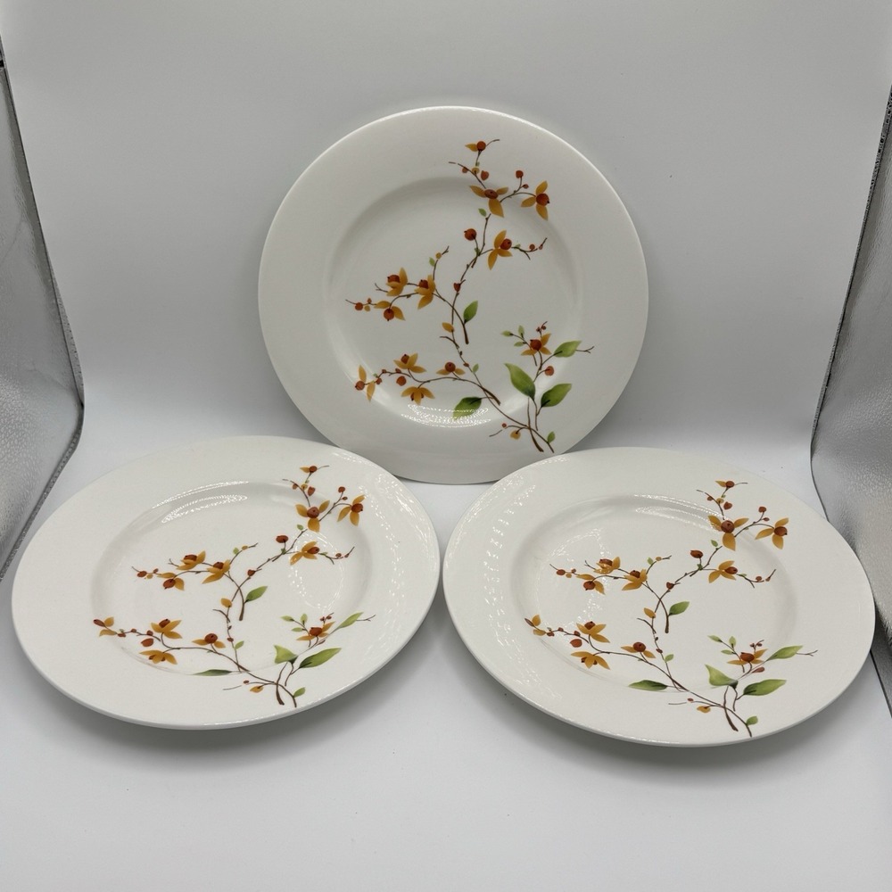 Martha Stewart Bittersweet Branches Salad Plates 9" Set 3‎ Discontinued
